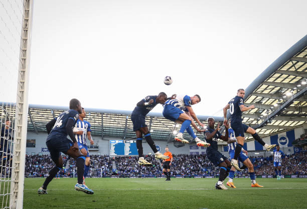 不仅提供 不仅提供